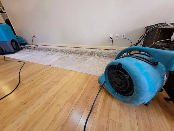 Professional Sewage Cleanup technician working in Morrisonville, IL