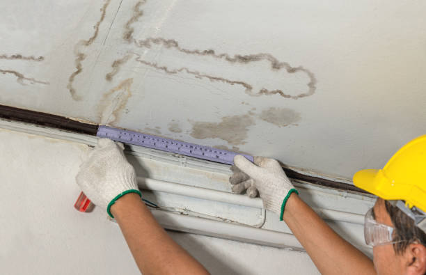 Affordable Sewage Cleanup solutions in Morrisonville, IL